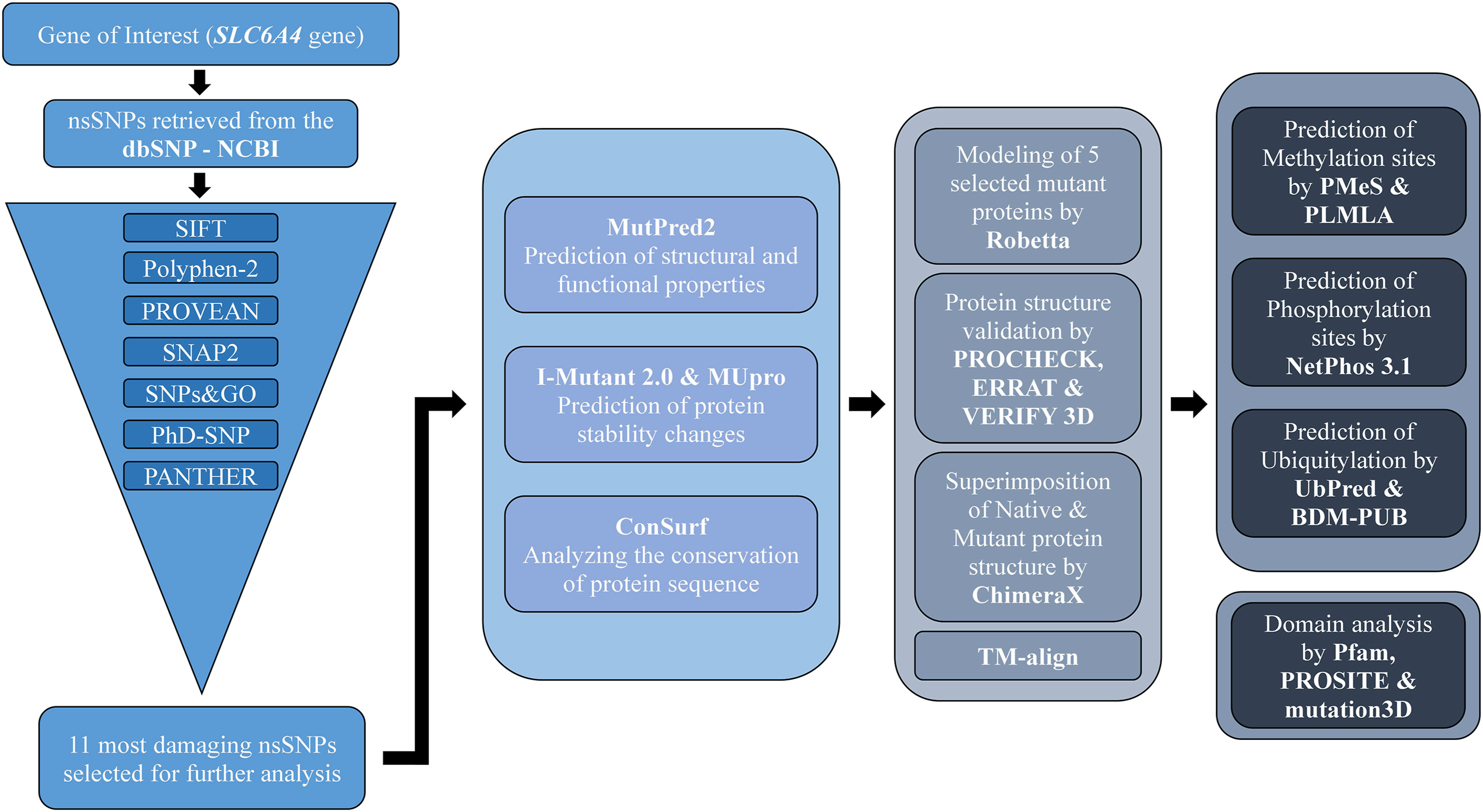 https://doi.org/10.1016/j.heliyon.2021.e07815